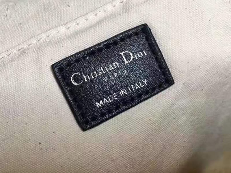 Dior Oblique With Christian Logo Backpack Lion Black 7