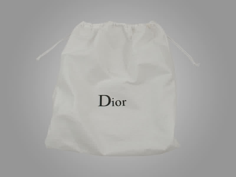 Dior Nano Leather Bag Gold Hardware Beige 8
